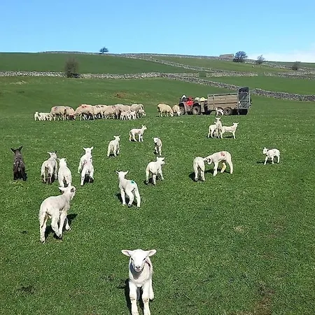 Henry's * 斯基普顿